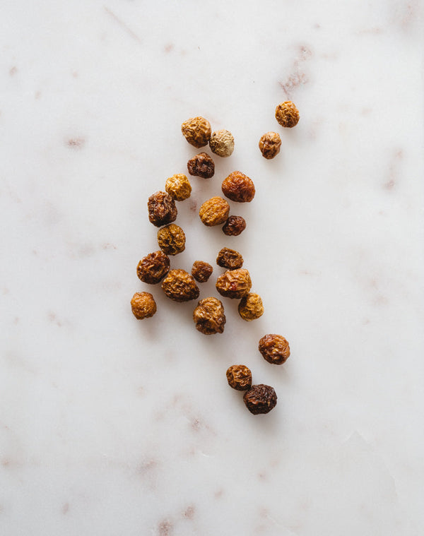 Bush Tomato | Warndu Australian Bush Tucker © Warndu Pty Ltd. Photographs by Luisa Brimble.