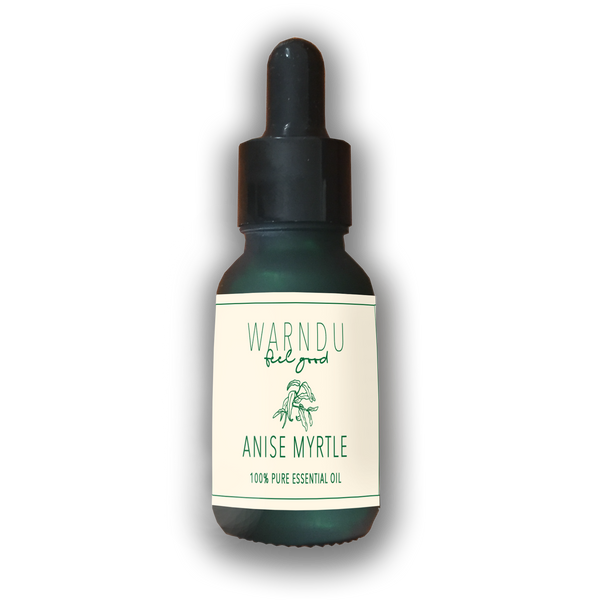 Anise Myrtle 100% Pure Essential Oil in 15ml glass bottle | Warndu Australian Native Food