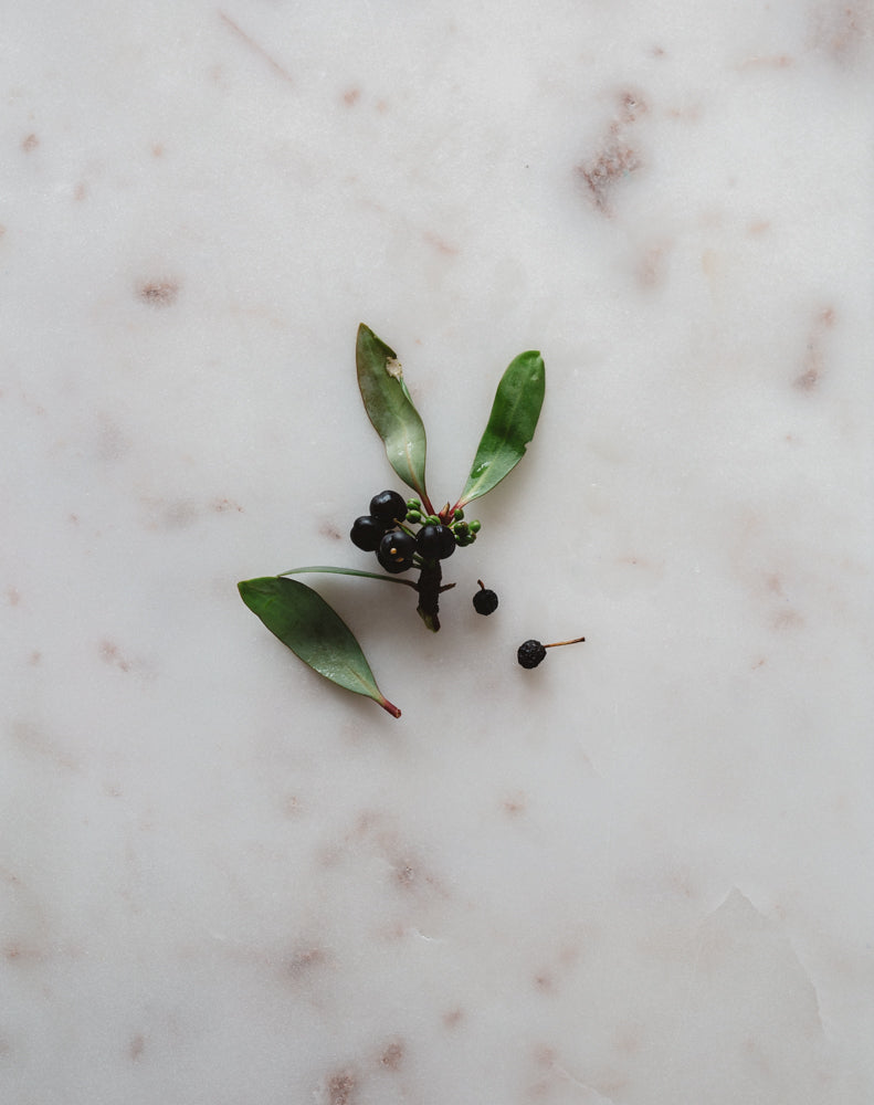 © Warndu Mai - Australian Bush Tucker Native Pepper Berry and leaf picture on a marble background